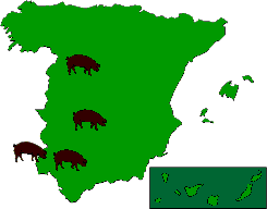 mapa del cerdo en españa